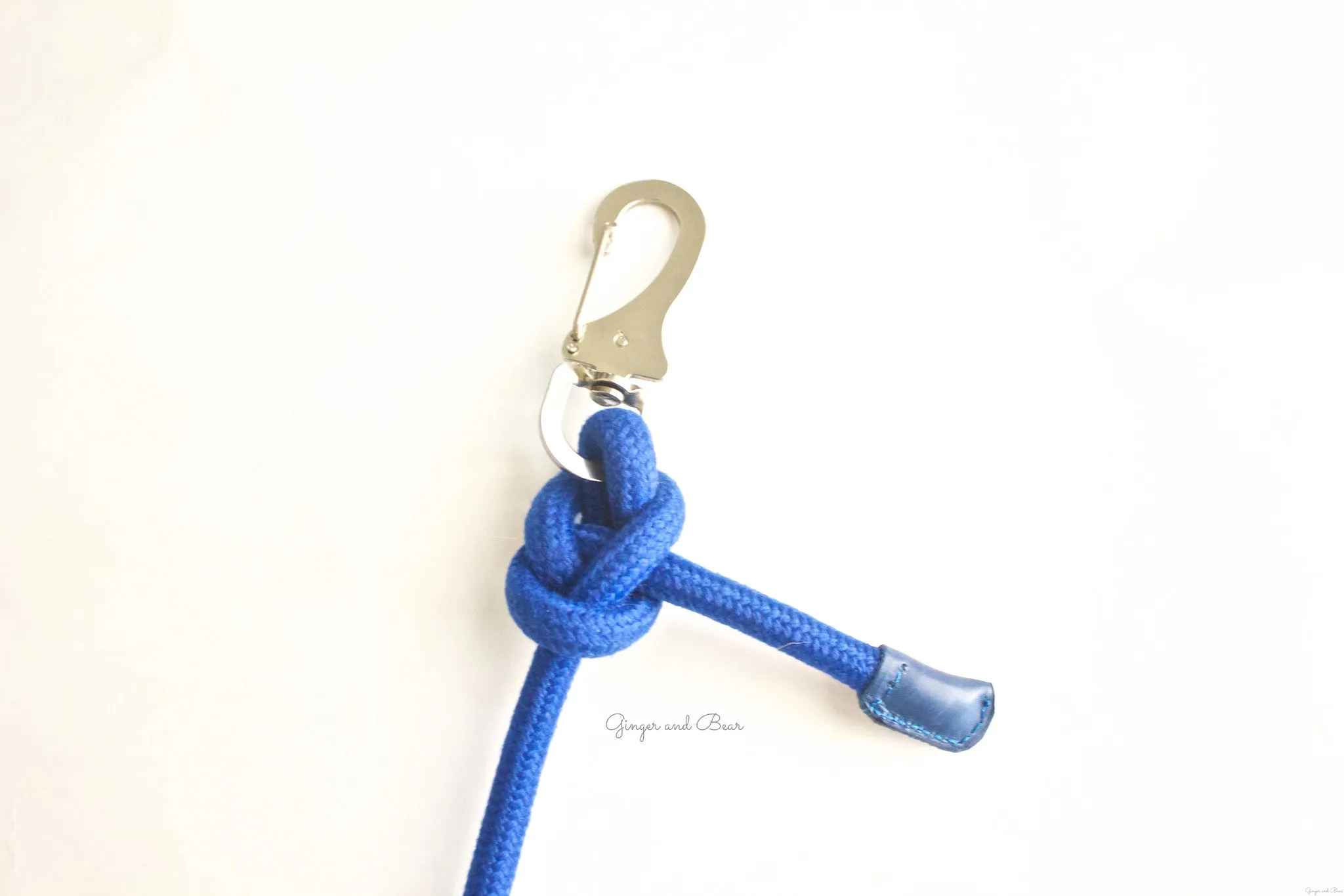 Dog Lead: Blue Rope