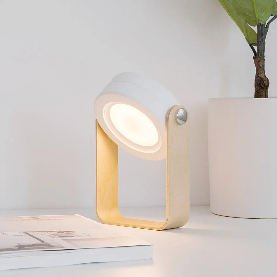 Lantern Multifunctional Night Light